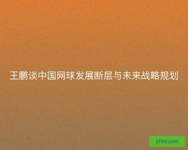 王鹏谈中国网球发展断层与未来战略规划
