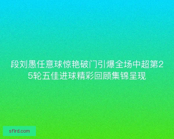 段刘愚任意球惊艳破门引爆全场中超第25轮五佳进球精彩回顾集锦呈现