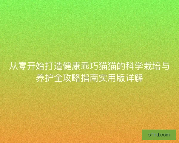 从零开始打造健康乖巧猫猫的科学栽培与养护全攻略指南实用版详解
