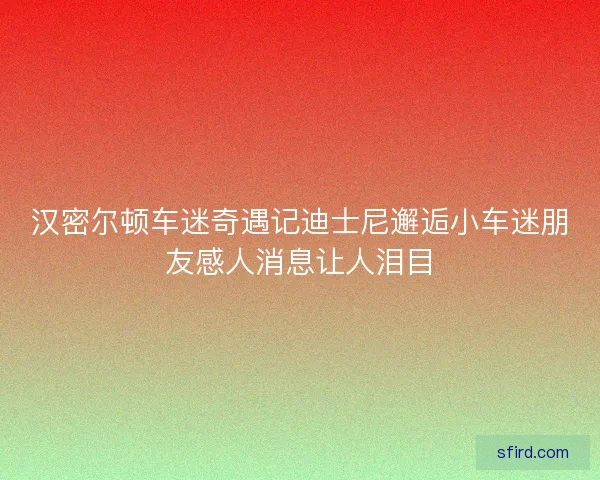 汉密尔顿车迷奇遇记迪士尼邂逅小车迷朋友感人消息让人泪目