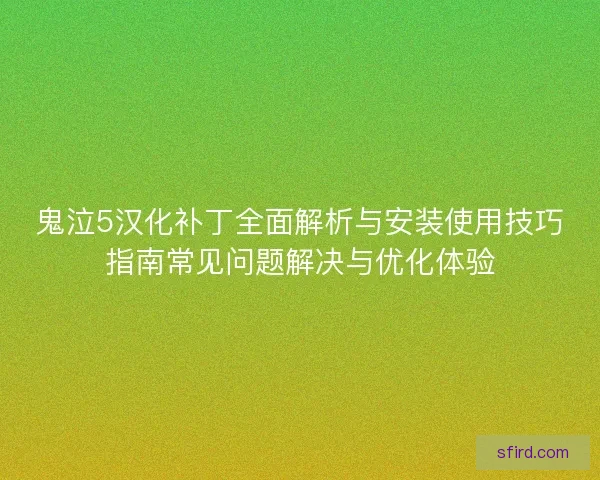 鬼泣5汉化补丁全面解析与安装使用技巧指南常见问题解决与优化体验